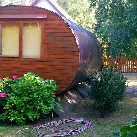 Baltycka Lawenda Białogóra